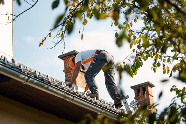 Best Flat Roof Repair Services  in Washington Park, IL