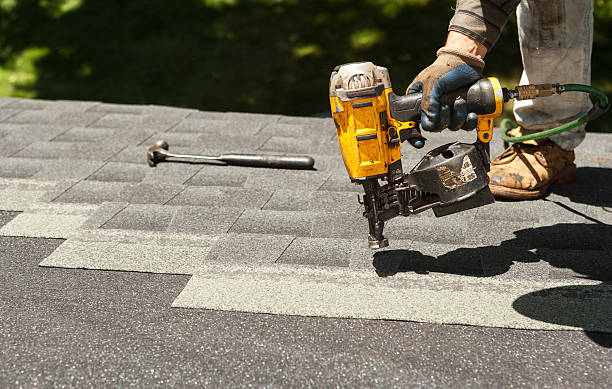 Best Roof Gutter Cleaning  in Washington Park, IL