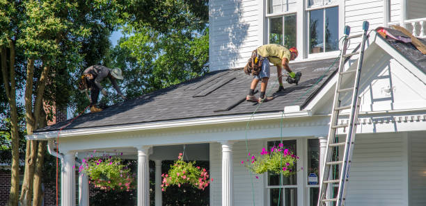 Best Roof Gutter Cleaning  in Washington Park, IL