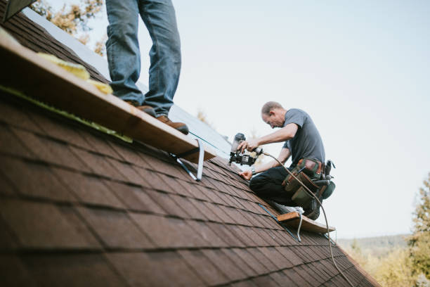 Best Commercial Roofing Services  in Washington Park, IL